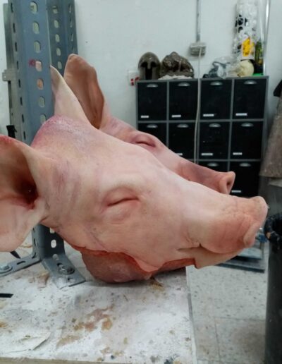 PIG HEAD 1