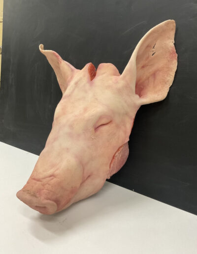 PIG HEAD 2