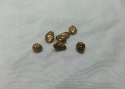 REPRODUCCION PEPITAS ORO